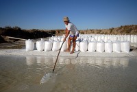 /album/salinicultura/dsc-2729-copy-jpg/